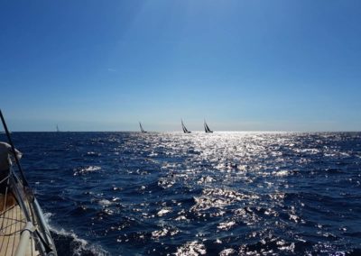 discovery-ginger-voile-st-tropez-lemax-sailing